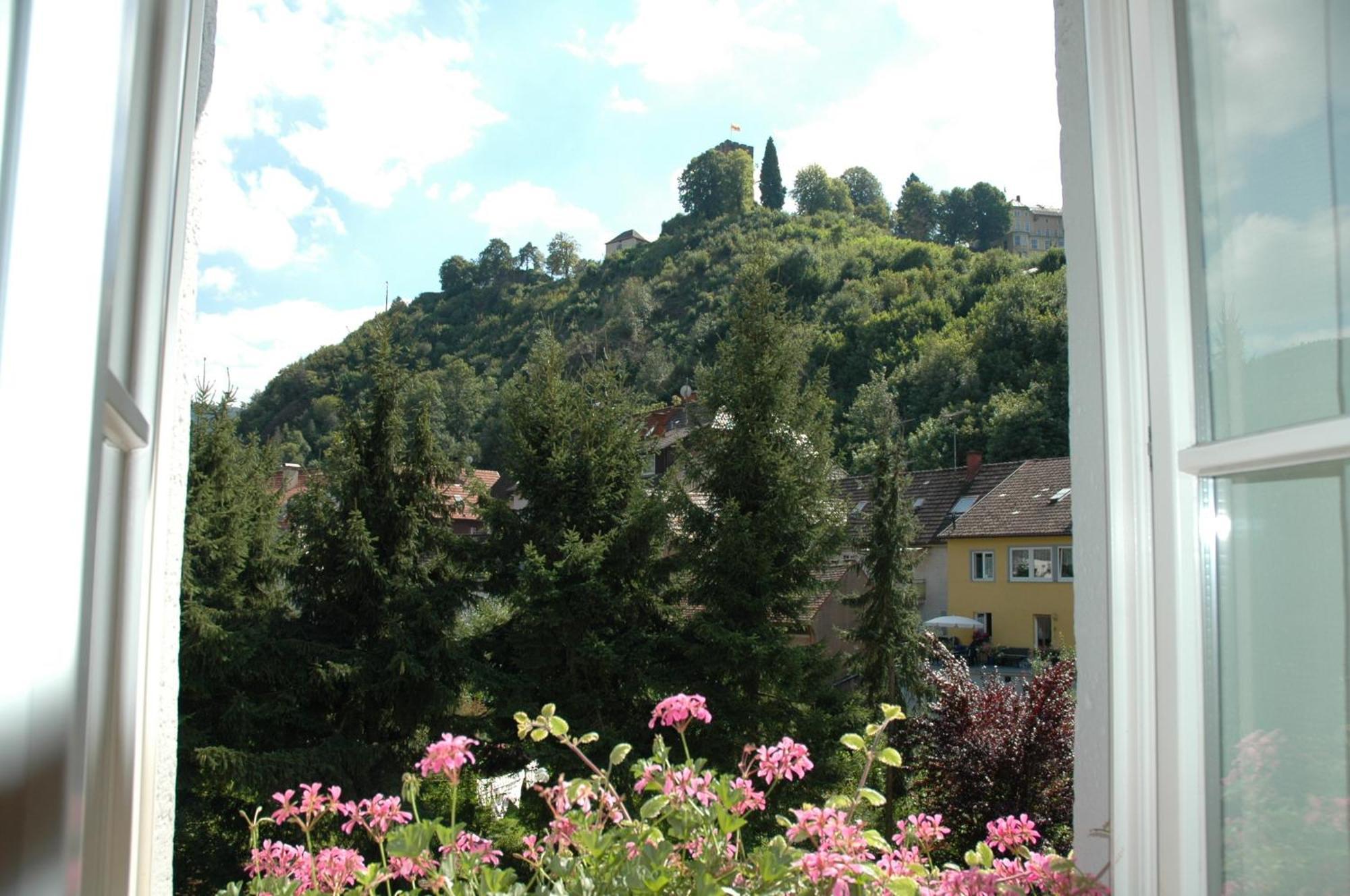Gasthaus Schuetzen Hornberg Exteriér fotografie